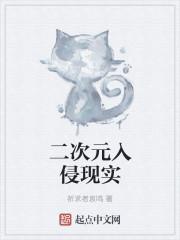 国家入侵二次元