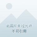 绝品隐婿