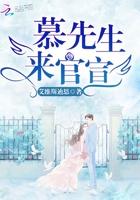 慕先生的小骄傲未删减版